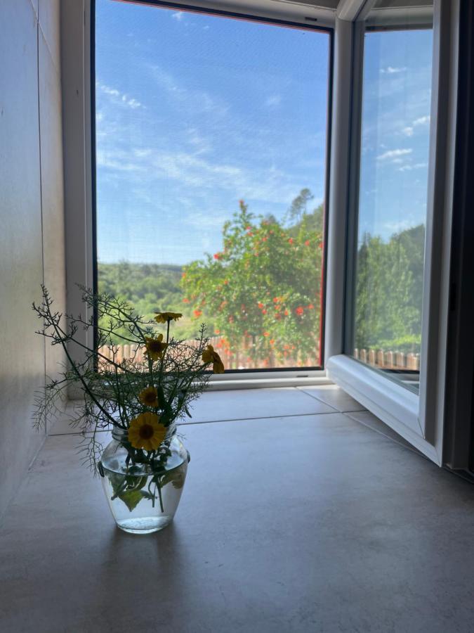 Ferreira do Zêzere Beija Rio Charming Houseヴィラ エクステリア 写真